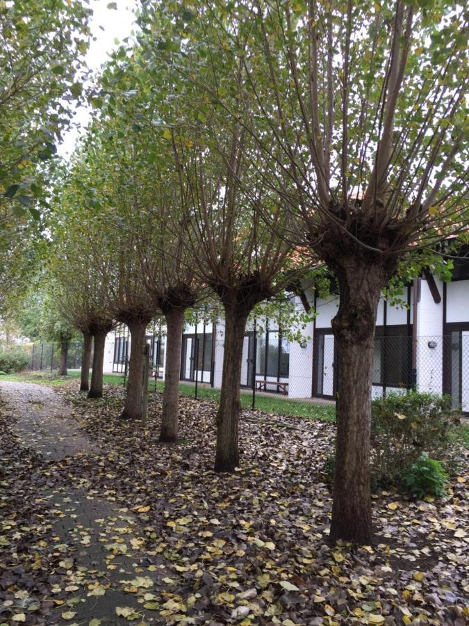 Vakantiewoning Kaviaar ميدل كيرك المظهر الخارجي الصورة